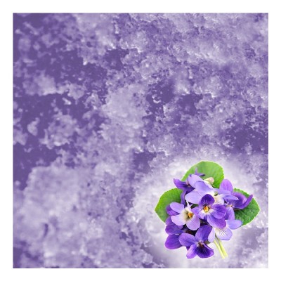 JELLY SPA Pedicure & Manicure Treatment Violet & Solute Set